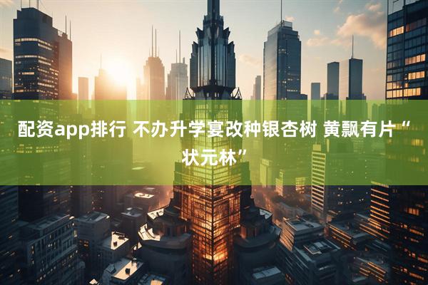 配资app排行 不办升学宴改种银杏树 黄飘有片“状元林”